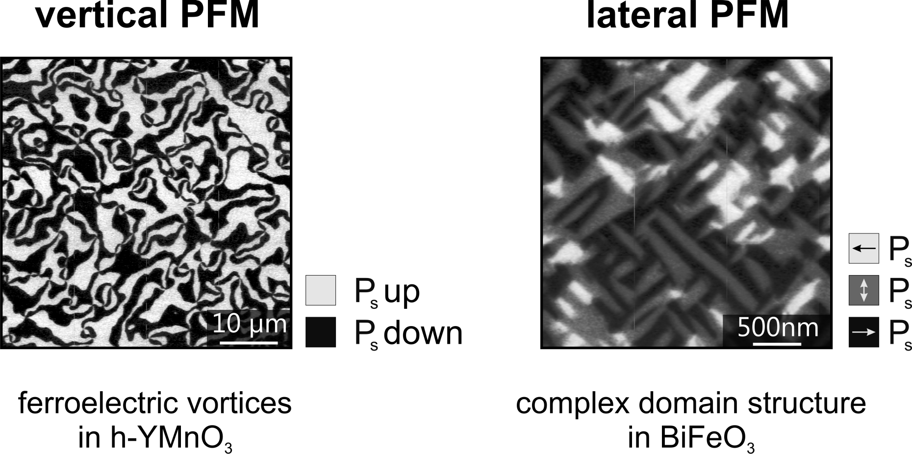 Enlarged view: By vertical and lateral PFM domain orientations in all three dimensions can be distinguished