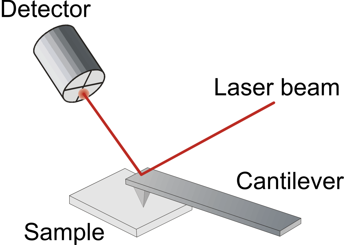 Enlarged view: Contact Mode