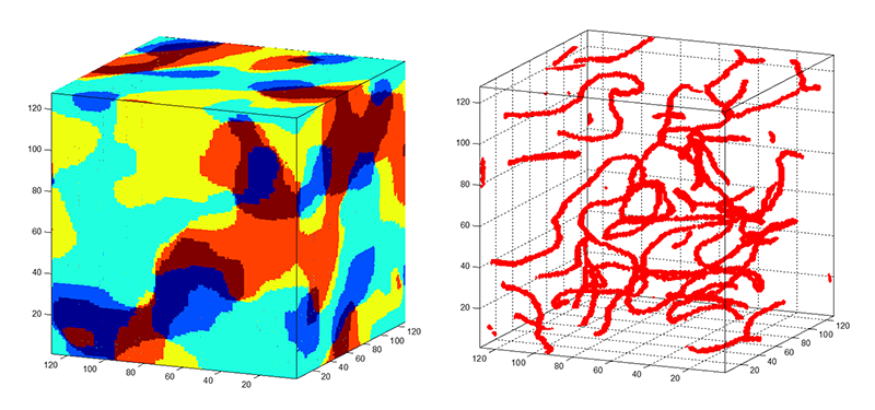 3D domains & vortices