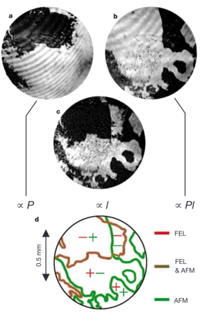 Enlarged view: Observation of coupled magnetic und electric domains. [1]