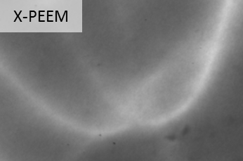 Enlarged view: Contact-free probing of functional ferroelectric domain walls by X-ray photoemission electron microscopy (X-PEEM). The conducting domain walls show brighter contrast then the surrounding insulating bulk. [3]
