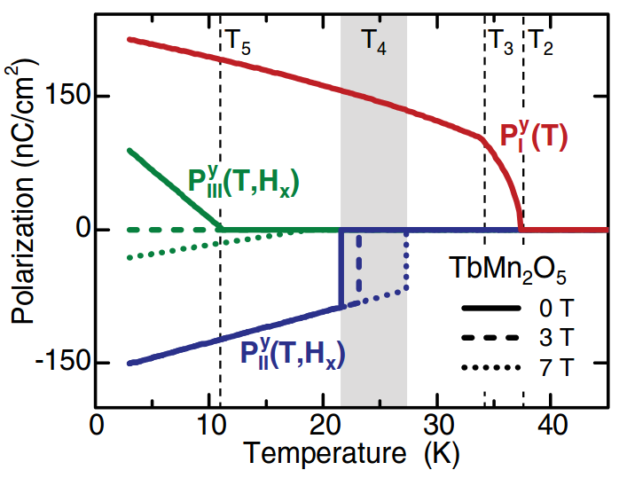 Enlarged view: Temperature- and magnetic-field-dependent decomposition of magnetically induced polarization