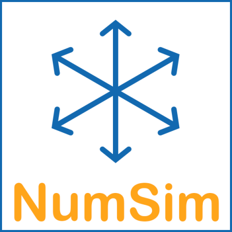 Logo Numerical Simulations Group